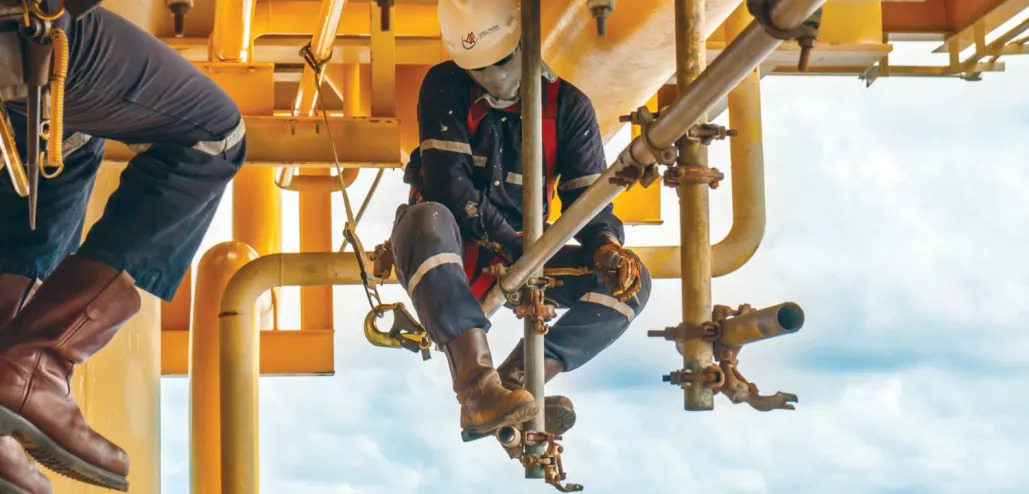 Scaffolds | Andaimes